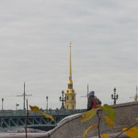 Вид на Петропавловскую крепость из Летнего сада. :: rittchie 