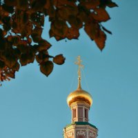 Колокольня Новодевичьего монастыря. :: Татьяна Помогалова