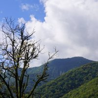 Горы Абхазии :: Наталия Григорьева