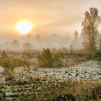 К туману утром.. :: Юрий Стародубцев