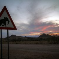 Внимание! Животные на дороге! :: Geolog 8