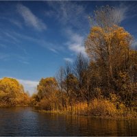 "На озере в октябре. Солнечный день"© :: Владимир Макаров