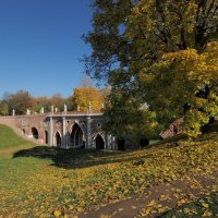 Из осенней прогулки в парке Царицино. :: Евгений Седов