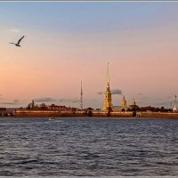 Петропавловская крепость :: Любовь Зинченко 
