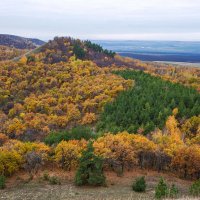 Очарование осени :: Наталья Димова