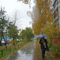 Осенняя погода :: Вера Щукина