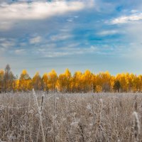 Подмосковная осень, первый утренний заморозок... :: Андрей Андреев