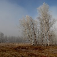 Первые заморозки октября. :: nadyasilyuk Вознюк