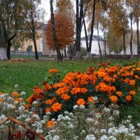 Осенние цветы (3) :: Елена Пономарева