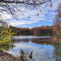 Осенний пейзаж :: Ната Волга