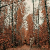 Осенний лес :: Ирина Весна