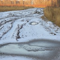 Дорога в холодный ноябрь :: Татьяна Лютаева