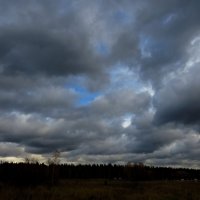 Перед осадками :: Андрей Снегерёв