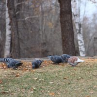 Мой город. :: Венера Чуйкова