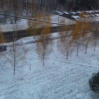 снежное утро :: Владимир 