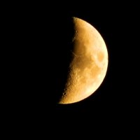 лунный профилъ :: Alisa Koteva 