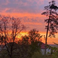 Закат солнца в городе :: Нина Колгатина 