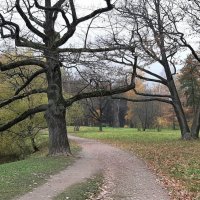 Александровский парк :: Наталья Герасимова