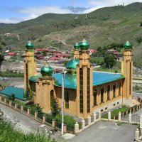 Мечеть на краю села :: Елена (ЛенаРа)