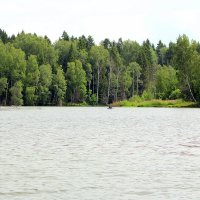 Лесное озеро. :: Николай Николаевич 