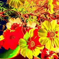 Праздник цветов - 15 :: Елена Куприянова 