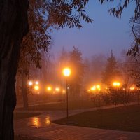 Утреннее таинство тумана. :: Наталья Соколова