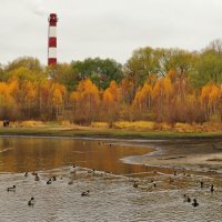 Осень на городском озере :: Андрей Снегерёв