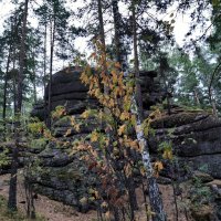 Экскурсия по местам силы в Белокурихе :: Галина Минчук