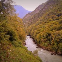 В горах Абхазии :: Татьяна Лютаева