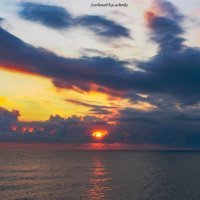 Закаты на Фмеском заливе :: Светлана Казаченко