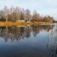 Смоленщина в ноябре. :: Милешкин Владимир Алексеевич 