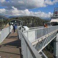 В адлерском Скайпарке :: Нина Бутко