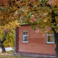 Красочное увядание листвы на деревьях вокруг дома у дороги :: Константин Бобинский