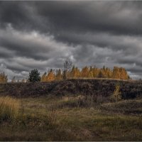 "Перед холодами. Гребень© :: Владимир Макаров