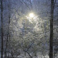Первый снег. :: Мария Васильева