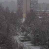 Второй снег, не шуточный ! :: Юрий Куликов