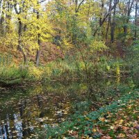 Уголок нетронутой природы :: Маргарита Батырева