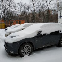 В Москве - снег (фотодневник не юного натуралиста) :: Андрей Лукьянов