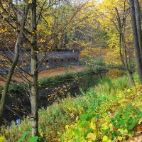 Уголок нетронутой природы :: Маргарита Батырева