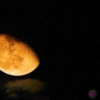 Луна в Близнецах - Пояс Ориона :: Alisa Koteva 