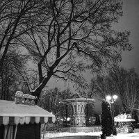В зимнем парке :: Сергей 