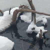 Тишина ноября.Омут. :: Андрей Хлопонин