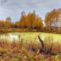 Осенняя палитра :: Константин 