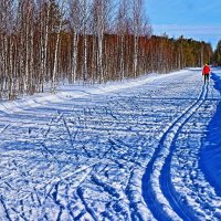 Февраль...Одна на  лыжне! :: Владимир 