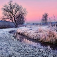 winter morning :: Elena Wymann
