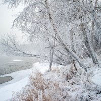 Зимнее утро у реки. :: Вадим Басов