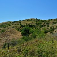 Раздорская. Раздорские склоны в северо-восточных окрестностях станицы летом. :: Пётр Чернега