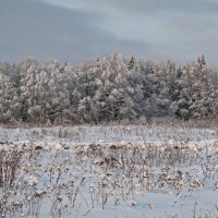 Морозное утро :: Александр Сивкин