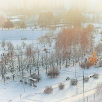 С первым днём зимы! :: Татьяна Помогалова