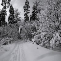 Winter road :: AL 
